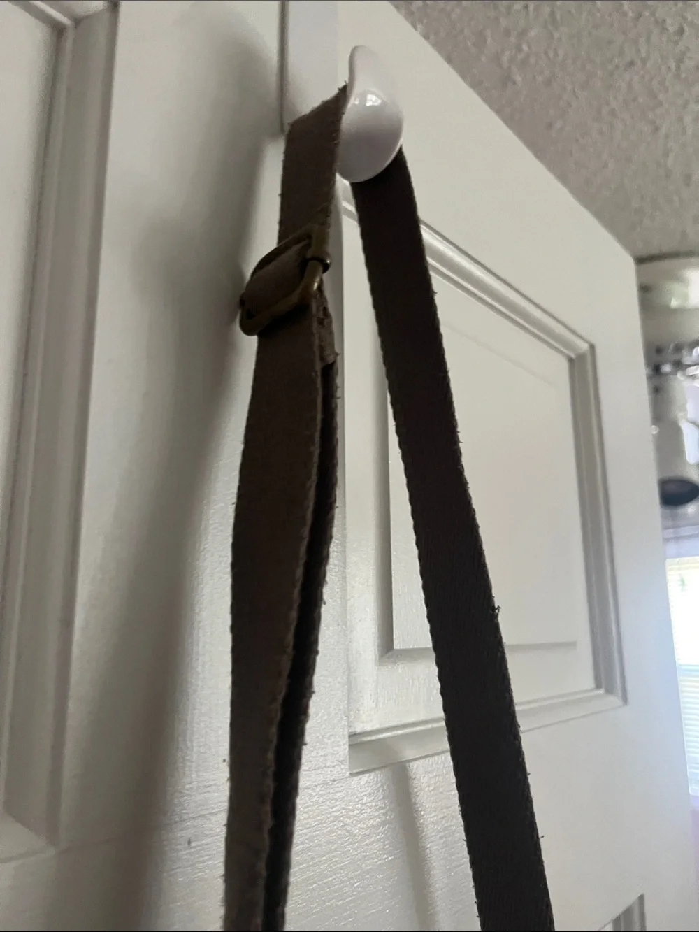 The Sak Metallic Leather Crossbody Shoulder Bag